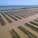 La Cle Des Champs Maison Plain Pied Lumineuse Bien Equipee, Sejour Spacieux, Belle Terrasse Amenagee, Garage, Grand Jardin Clos, Parking, Pres De Bayeux Et Omaha Beach, Chiens Bienvenus