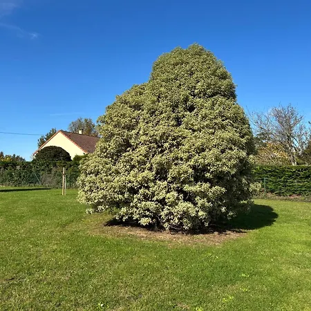 La Cle Des Champs Maison Plain Pied Lumineuse Bien Equipee, Sejour Spacieux, Belle Terrasse Amenagee, Garage, Grand Jardin Clos, Parking, Pres De Bayeux Et Omaha Beach, Chiens Bienvenus * Tour-en-Bessin