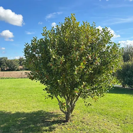 La Cle Des Champs Maison Plain Pied Spacieuse Lumineuse Bien Equipee, 3 Spacieuse, Belle Terrasse Amenagee, Garage, Grand Jardin Clos, Parking, Pres De Bayeux Et Omaha Beach, Chiens Bienvenus