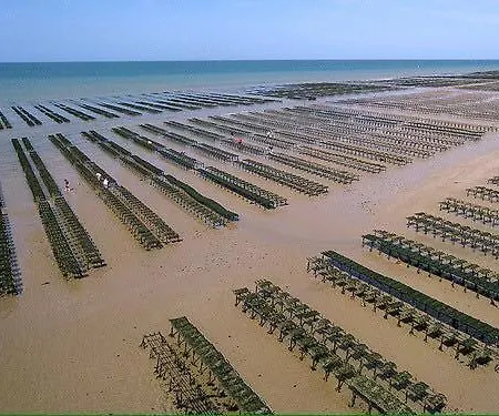 La Cle Des Champs Maison Plain Pied Lumineuse Bien Equipee, Sejour Spacieux, Belle Terrasse Amenagee, Garage, Grand Jardin Clos, Parking, Pres De Bayeux Et Omaha Beach, Chiens Bienvenus