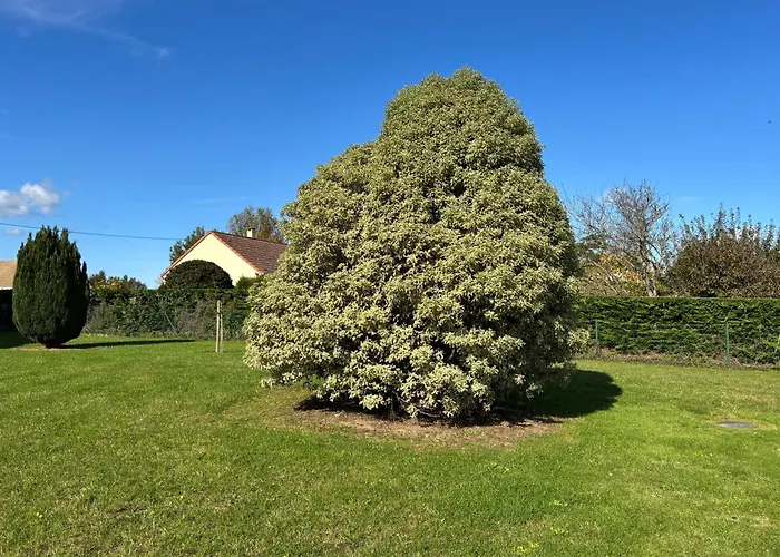 La Cle Des Champs Maison Plain Pied Lumineuse Bien Equipee, Sejour Spacieux, Belle Terrasse Amenagee, Garage, Grand Jardin Clos, Parking, Pres De Bayeux Et Omaha Beach, Chiens Bienvenus * Tour-en-Bessin