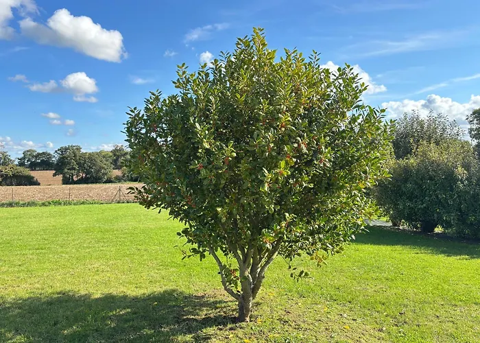 La Clé Des Champs Maison Plain Pied Spacieuse Lumineuse Bien équipée, 3 Spacieuse, Belle Terrasse Aménagée, Garage, Grand Jardin Clos, Parking, Près De Bayeux Et Omaha Beach, Chiens Bienvenus