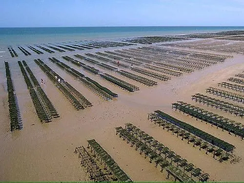 La Cle Des Champs Maison Plain Pied Lumineuse Bien Equipee, Sejour Spacieux, Belle Terrasse Amenagee, Garage, Grand Jardin Clos, Parking, Pres De Bayeux Et Omaha Beach, Chiens Bienvenus